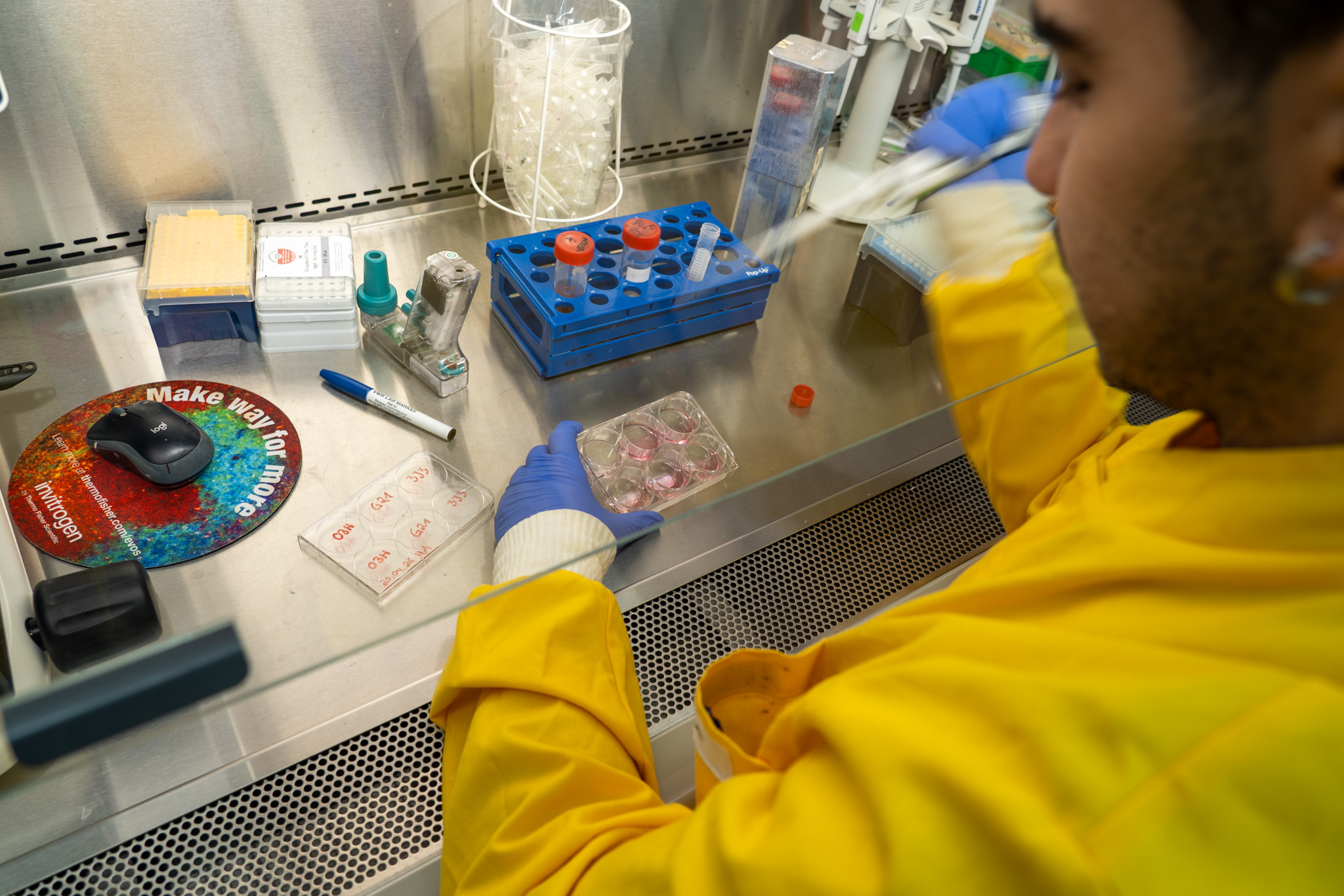Researchers working in the lab